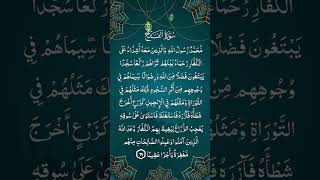 aaj ki ayat dill se share karyn 💗 | recite complete verse #quranshorts