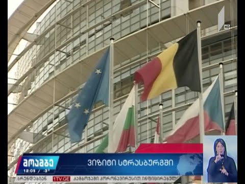 ირაკლი კობახიძის ვიზიტი სტრასბურგში მიმდინარე კვირაში შედგება