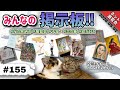 【第155回】桜気分はまだ終わらへんで！ つらら庵みんなの掲示板 