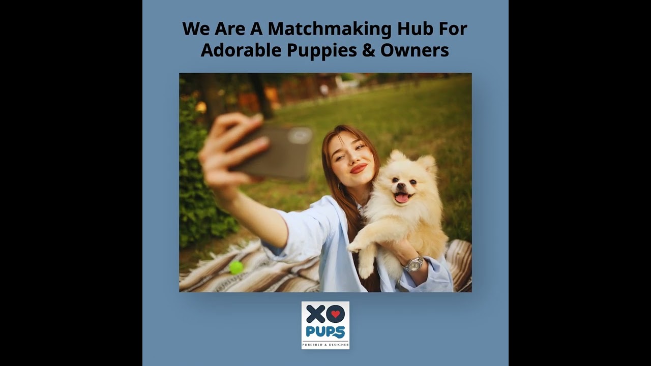 Puppy Matchmaking Hub 🐶💕 
