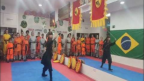 Kung Fu Shaolin 绳镖 Rope Dart Sheng Biao by Yiting Wu