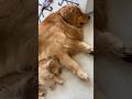 Best friends forever