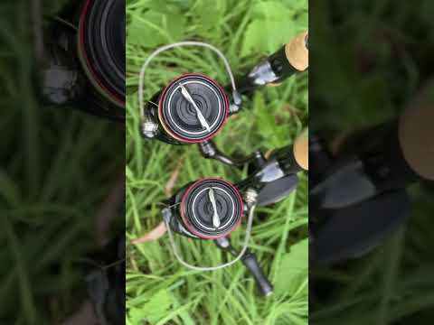 Shimano Expride+Shimano Vanford=🔥