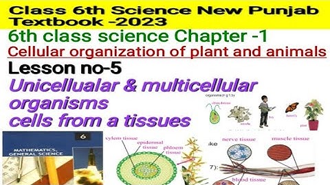 Class 6th science chapter 1|Unicellular and multicellular organisms|New Punjab textbook-2023 updated