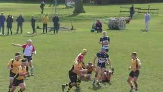 Silhillians Festival Highlights
