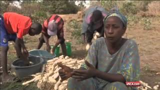 Organic farming picks up in Senegal
