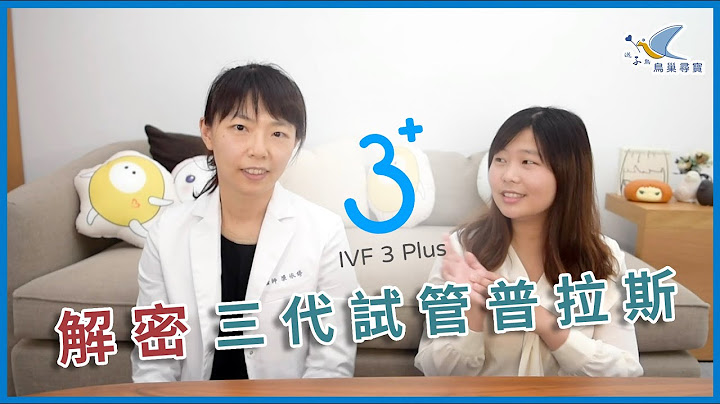 【鳥巢尋寶】解析三代試管嬰兒普拉斯(IVF 3 plus) ft.梁依婷醫師 - 天天要聞
