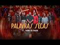 Tiee, Turma do Pagode - Palavras Secas (Uma Década Ao Vivo)