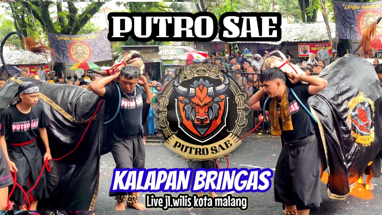 SERU BRINGAS LOS || PUTRO SAE mode kalap dalam kota || live jl.simpang wilis - kota malang