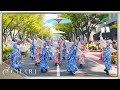 【4K】天空しなと屋 しん|cosmic way(原宿表参道元氣祭スーパーよさこい2018 表参道)