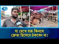 বিক্রেতার ভাষ্যে যা দেখে কোরবানির গরু কেনা উচিত | Kamalapur Hat | Rtv News