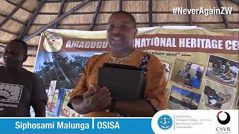 Siphosami Malunga | Executive Director, OSISA at the #NeverAgainZW