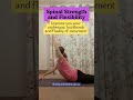 Improve your backbends and arabesque #balletdancer #dancetraining