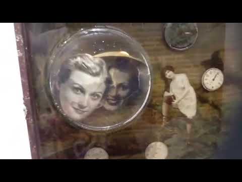 გამოფენები