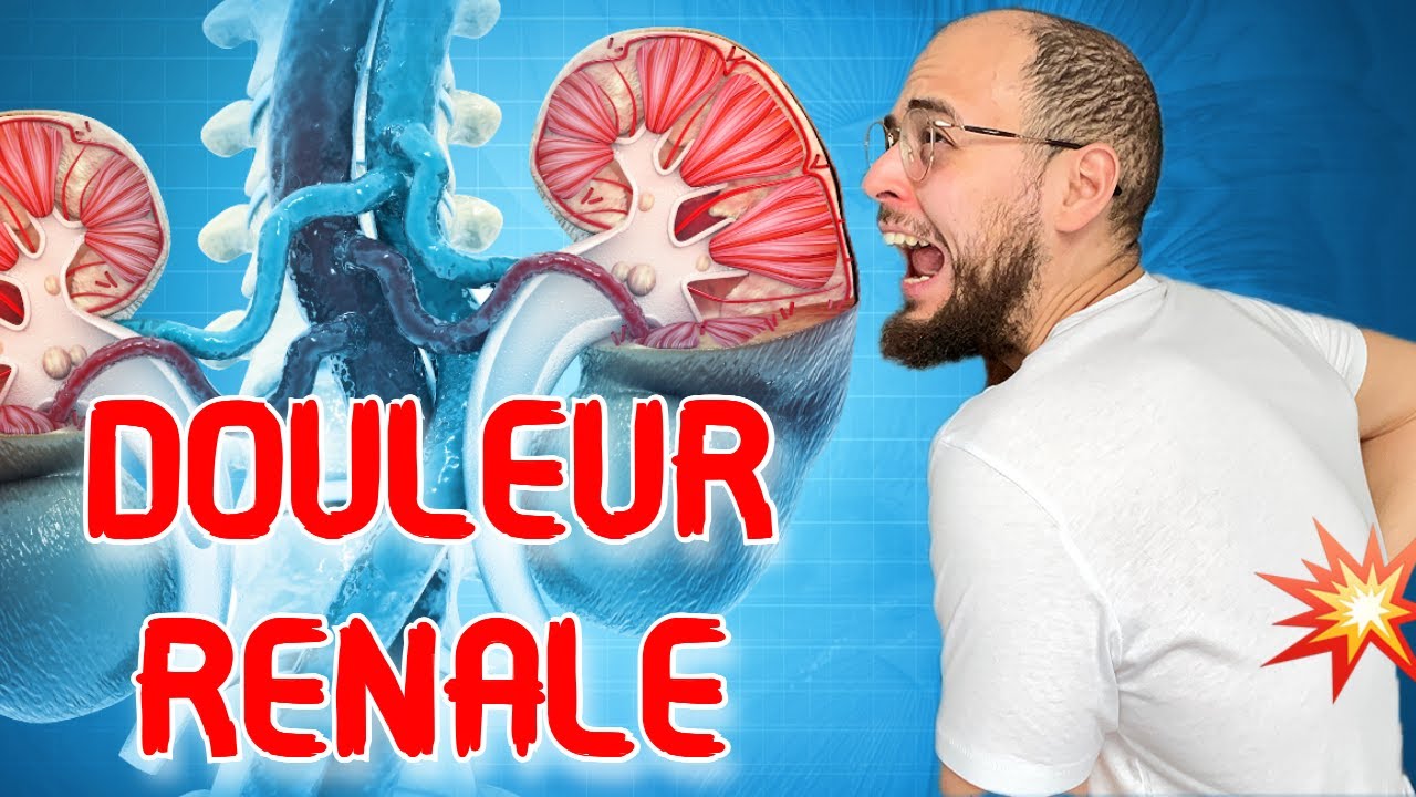 Avoir MAL AUX REINS : Les 3 Grandes CAUSES ! - YouTube