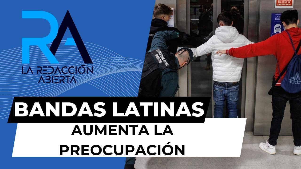 Crece la preocupación ante las Bandas Latinas en Madrid