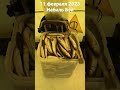 Рыбалка с Набиль Бэй Корюшка и Наважка Отличный улов #рыбалка #трофей #fishing