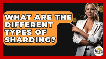What Are The Different Types Of Sharding? - CryptoBasics360.com