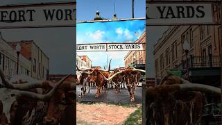 Day Trip to the Fort Worth Stockyards