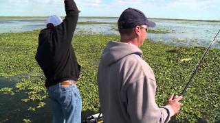 How to Punch Matted Vegetation for Largemouth Bass