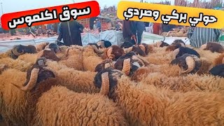 مباشرة من سوق السبت أكلموس اقليم خنيفرة 25/05/2024 مع ثمن حولي بركي عيد الأضحى