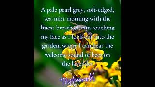 Good morning from Trishaworld 927!