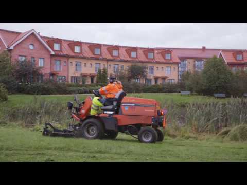 Video: Kuinka istuttaa pampasruohoa – vinkkejä pampasruohon istuttamiseen