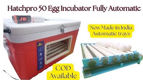 Best 50 Egg Incubator Full Automatic | Price |  Egg Hatching machine