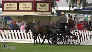 Johan Verhaege Bel Dressage Wcpdc Minden 2017