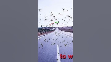 how to use  trapcode particular ! after effect trapcode particular ! red giant trapcode particular