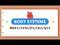 Understanding Constipation and the Digestive System