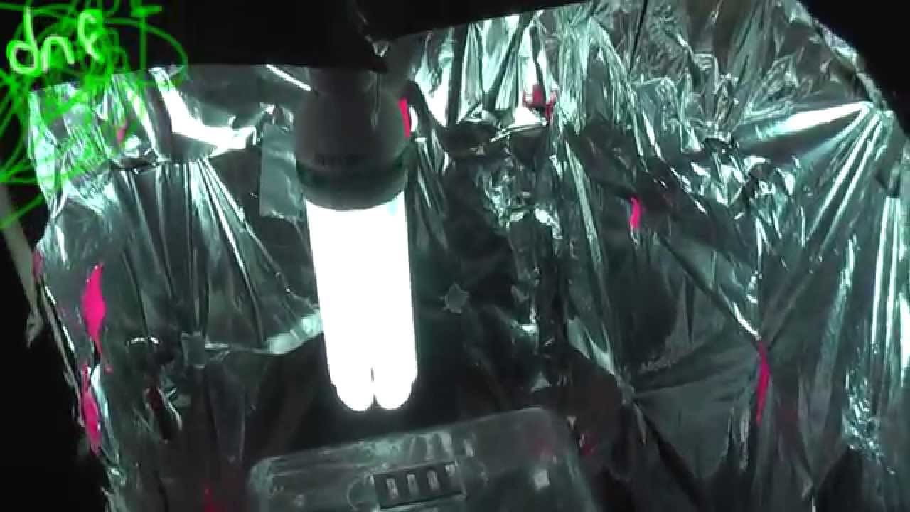 How to make a Cheap Grow Box in Minutes (COMEDY - Don't actually do this)