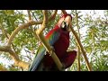 Macaws in Brazil (in the wild)