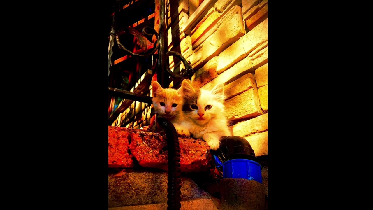 Sen Benden Gittin Gideli