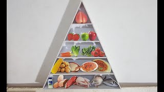 كيف تصنع مجسم الهرم الغذائي How to make a food pyramid anthropomorphic