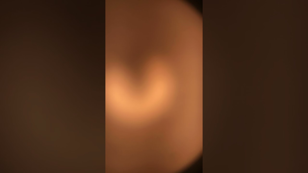 0aktree please put 50+ comments on this vid i beg PLEEES