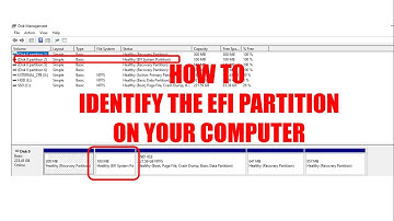 How to identify the EFI partition on your computer?