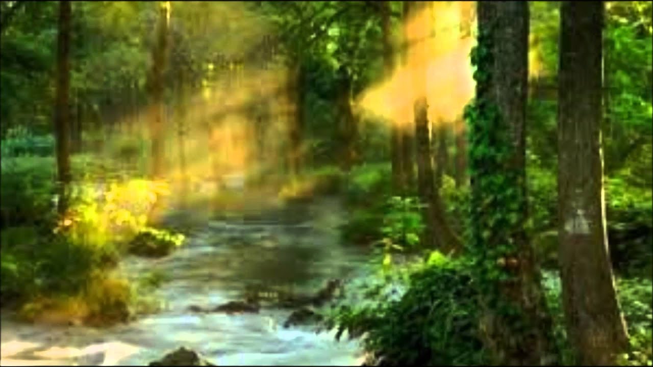 Cry Me A River - A Cover by Wabbity