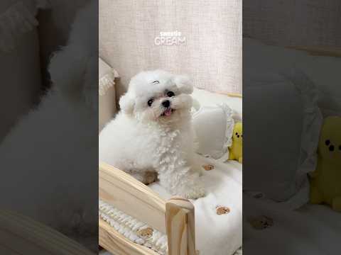 전파전파 불통이야 그래도 난 정신없이 소통중 #moshimoshi #전파전파 #모시모시