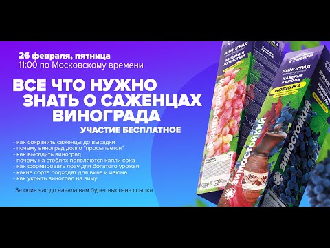 ПРЯМАЯ ТРАНСЛЯЦИЯ: ОТВЕЧАЕМ НА ВОПРОСЫ САДОВОДОВ. Семена, саженцы, работы в саду, урожай