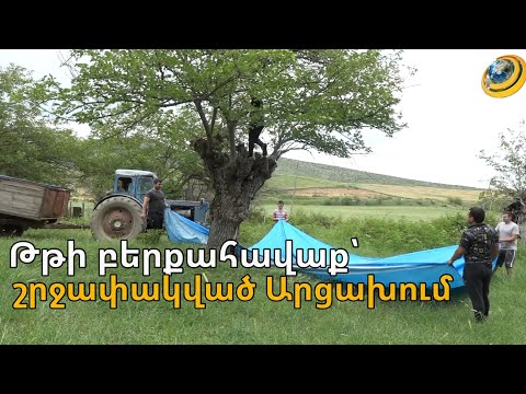 Video: Էրուն ճամփորդե՞լ է Գոլում: