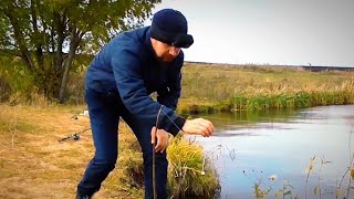 Интересная рыбалка на закидушки со сторожком и колокольчиком. Ловля окуня осенью на малька-живца.