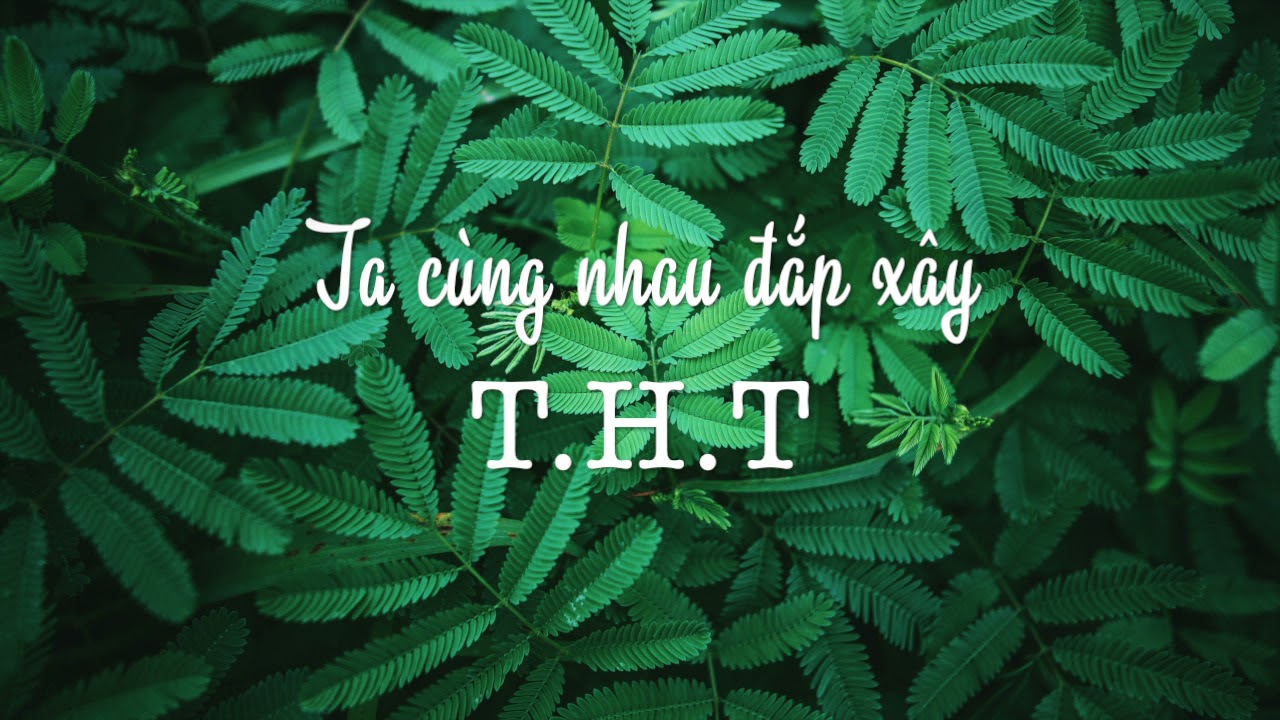 T.H.T - Tạ Quang Thắng (Song for T.H.T Vietnam)
