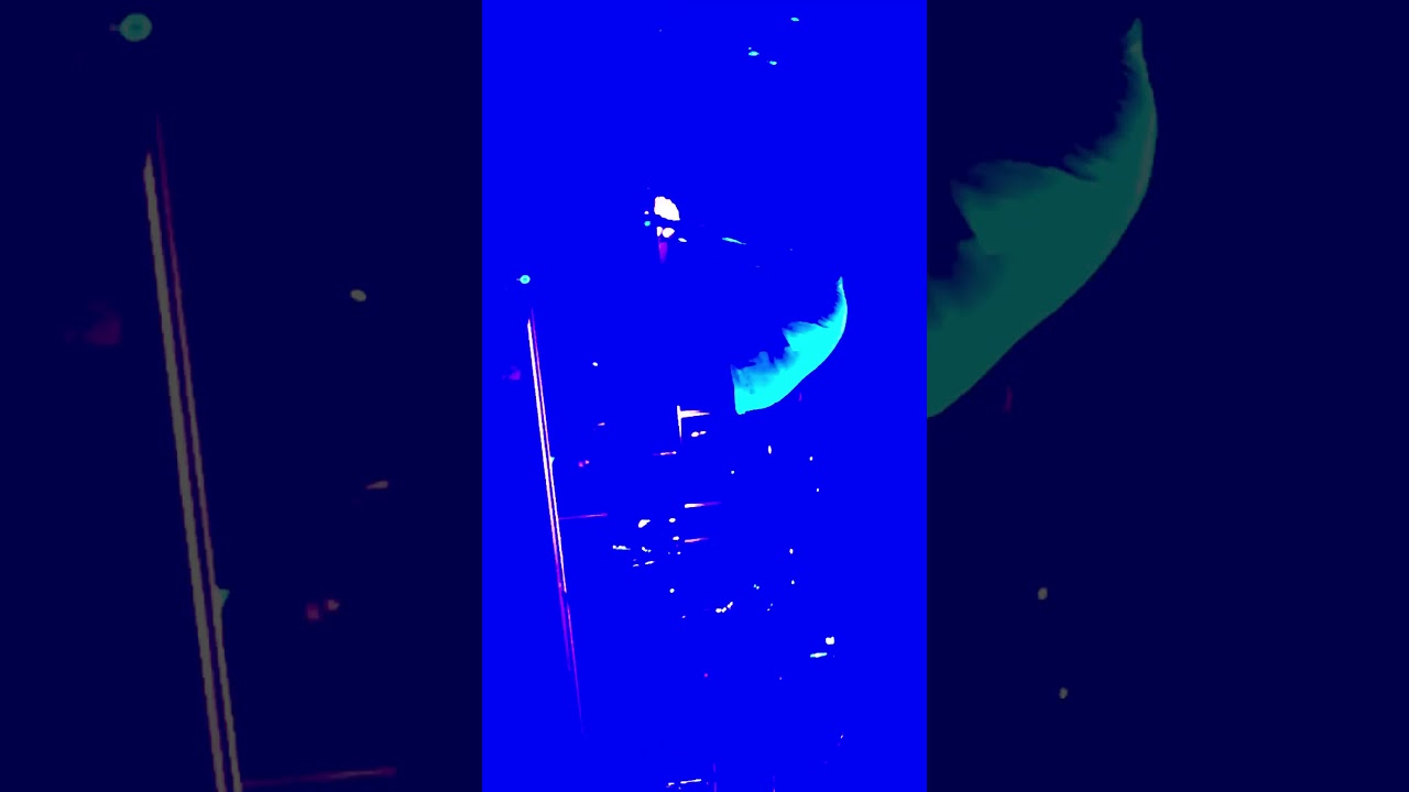 Ibrahim Maalouf@S3NS Zénith Toulouse19