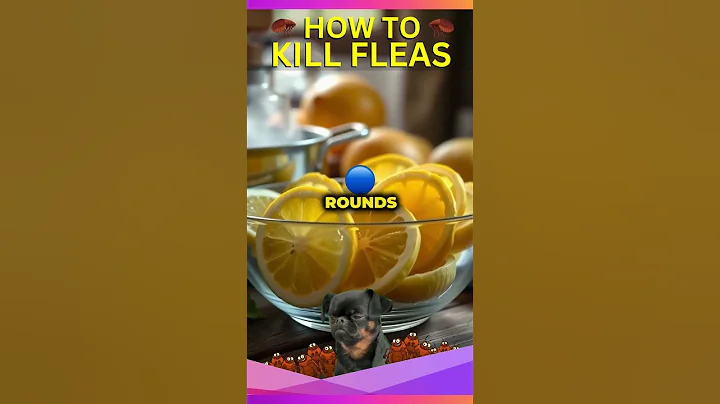 3 Home Remedies To Kill Fleas Fast (How To Kill Fleas On a Dog) #doglovers