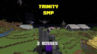 We Fought the 3 Bosses in 3 Dimensions on the Trinity SMP