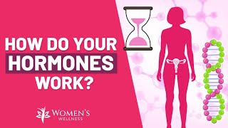 How do your hormones work