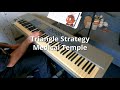 Triangle Strategy - Medical Temple