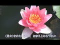 【みちづれ  渡哲也~牧村三枝子】北川とん子様より、女性パート・お借りしました。