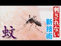 蚊が止まりたくても止まれない⁉ 刺されないための画期的なクリーム 実は“最も危険な生物” 研究最前線